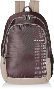 Aristocrat Purple Casual Backpack